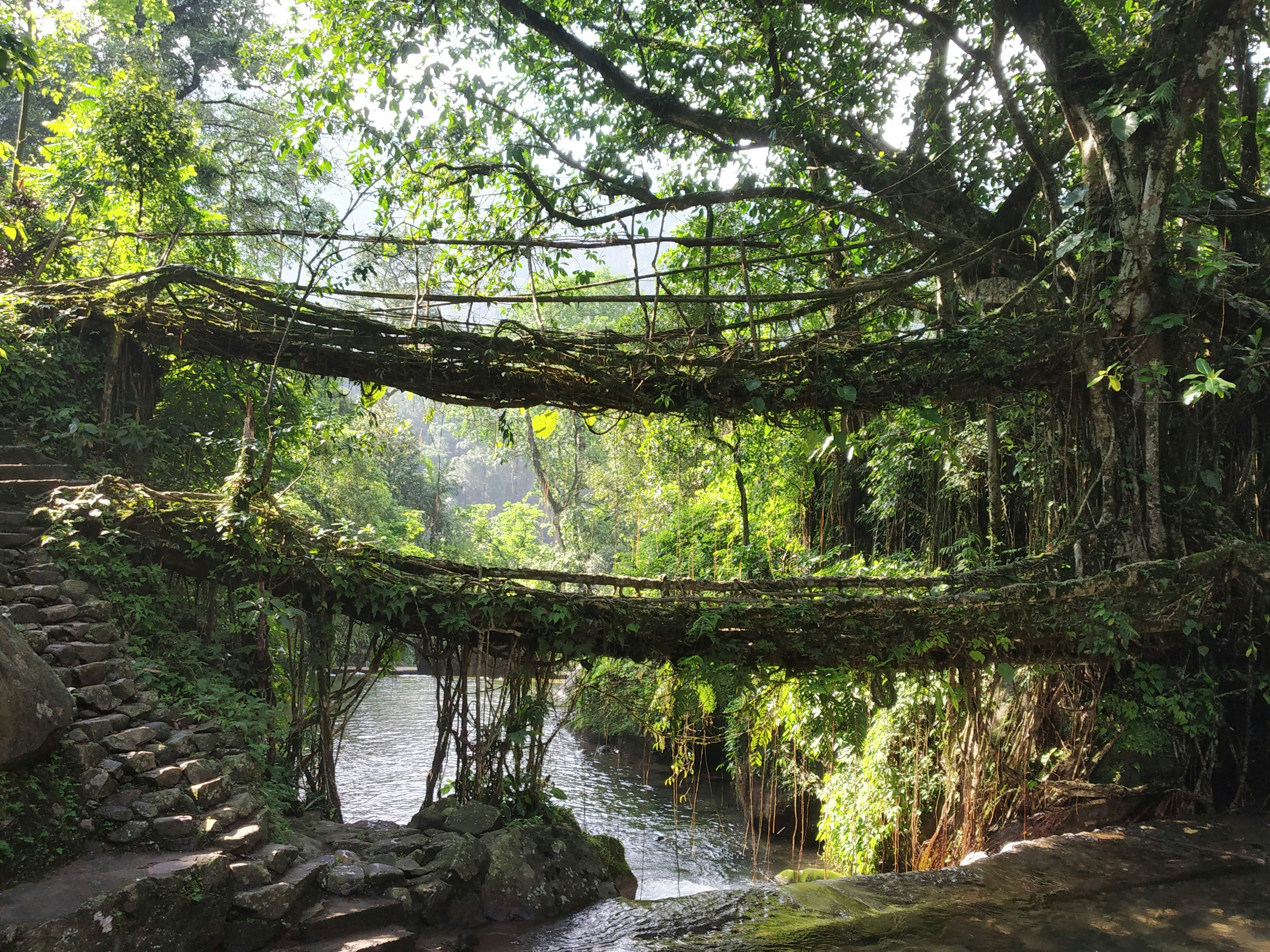 Offbeat Meghalaya - Kongthong